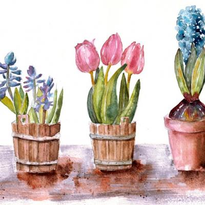 Bulbes pot de fleurs à l'aquarelle par véronique chevreul