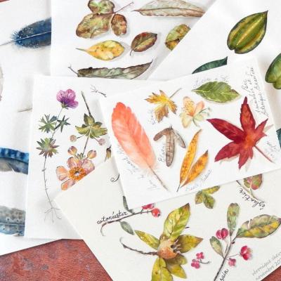 Planche nature feuilles et baies à l'aquarelle par véronique chevreul